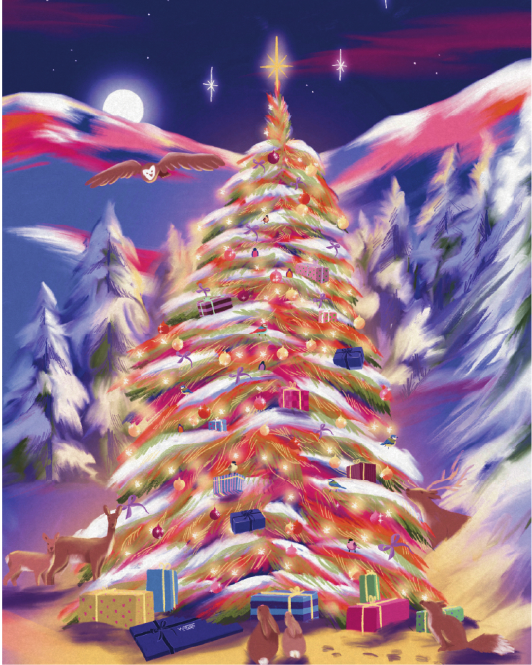 Chocolat Weiss collection limitée de Noël 2025 illustrée par Clara Debray