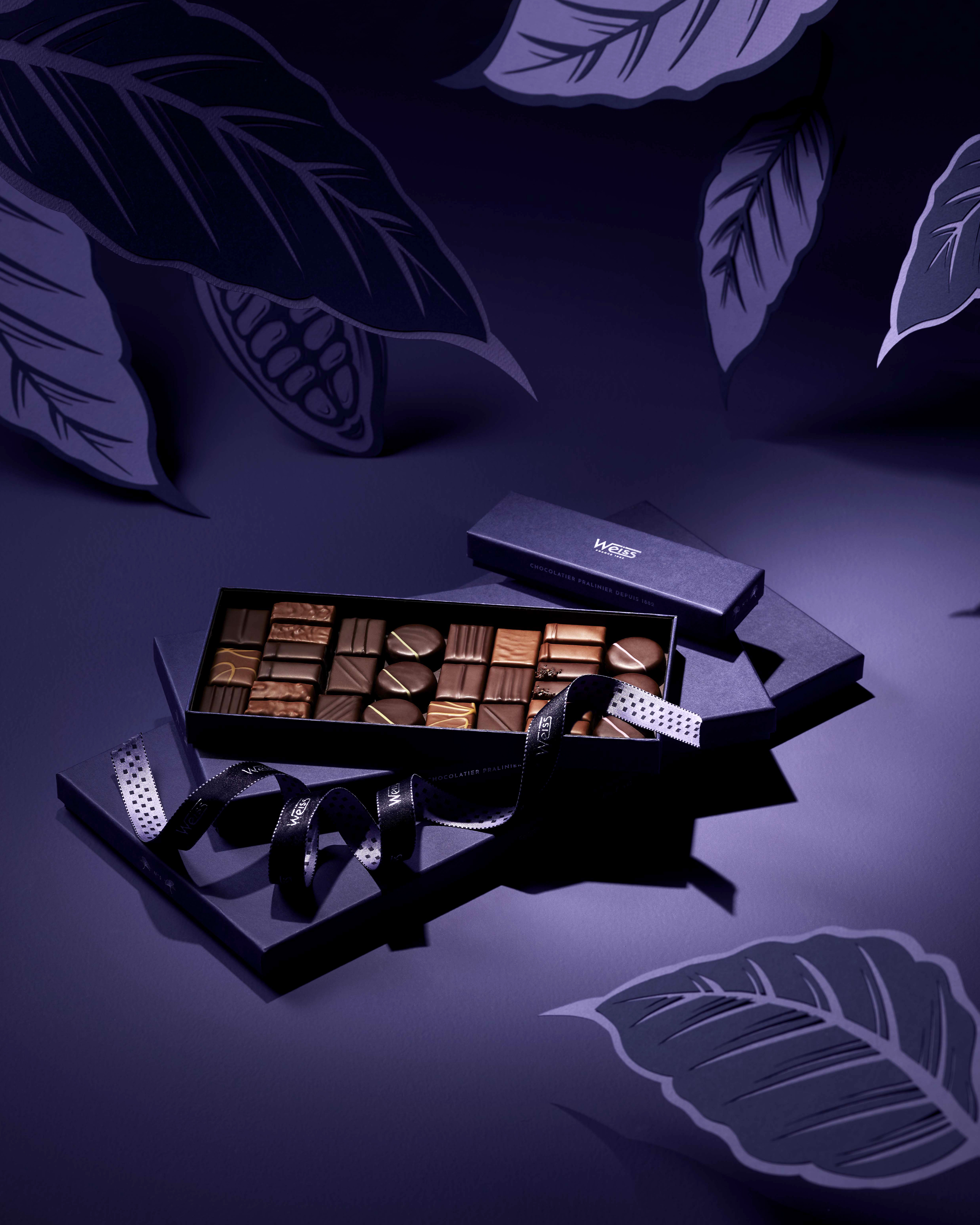 La nouvelle collection Eugène, Chocolat Weiss