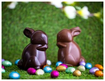 Animaux chocolats de Pâques