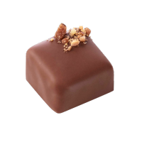 Praliné Cajou Fleur de Sel de Guérande 