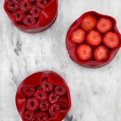 Recette de framboisier et fraisier