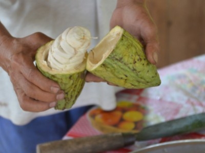 Journée de la Terre : Weiss s’engage pour un cacao éthique et responsable
