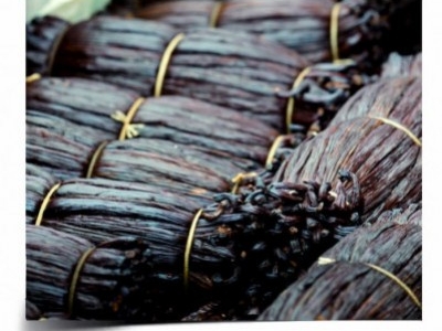 La vanille en cuisine – Comment conserver la vanille fraîche
