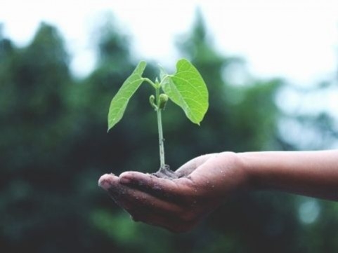 Chocolat Weiss s'engage pour l'environnement