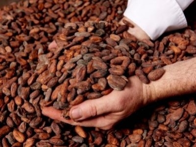 Weiss, la haute-couture du chocolat, est sur France 3